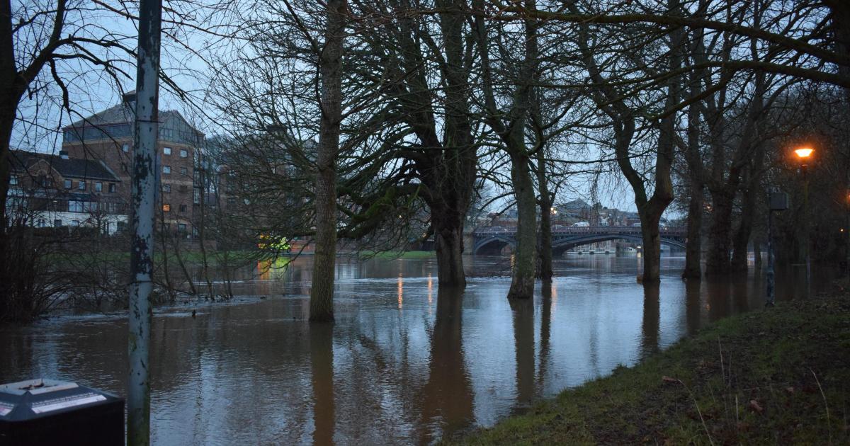 River levels in York remain high with flood warnings and more rain forecast