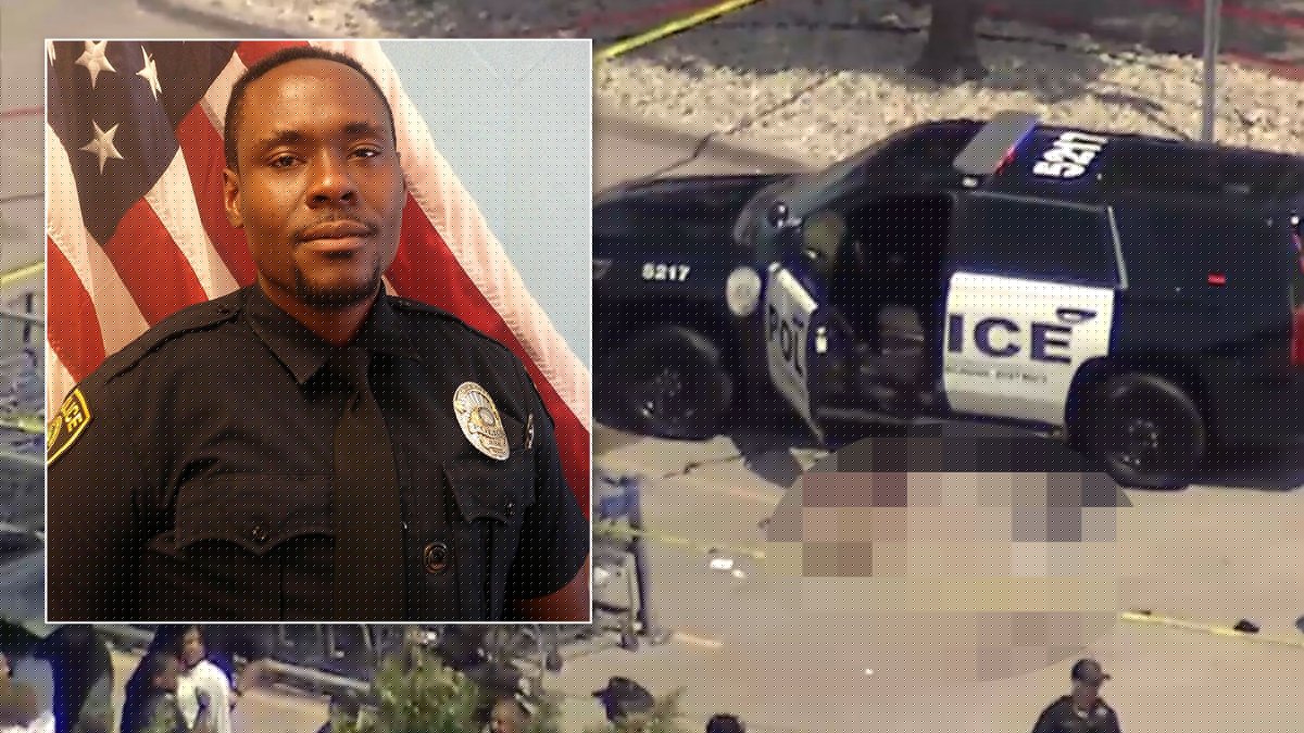 Affidavit reveals new details in shooting of Dallas ISD officer in North Dallas