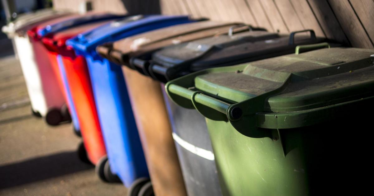Which bins are being collected in Bexley in August and September 2026?