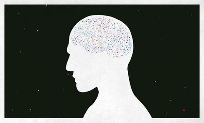 Comment on Did We Overestimate the Potential Harm from Microplastics? by Anonymous