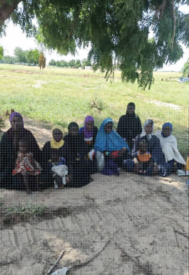 Families of JAS Group Surrender in Borno