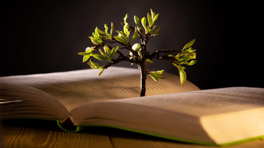 Leaning Into Growth, Wisely