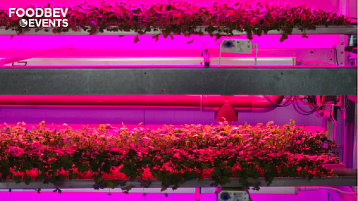 Can vertical farming rise to the challenge?