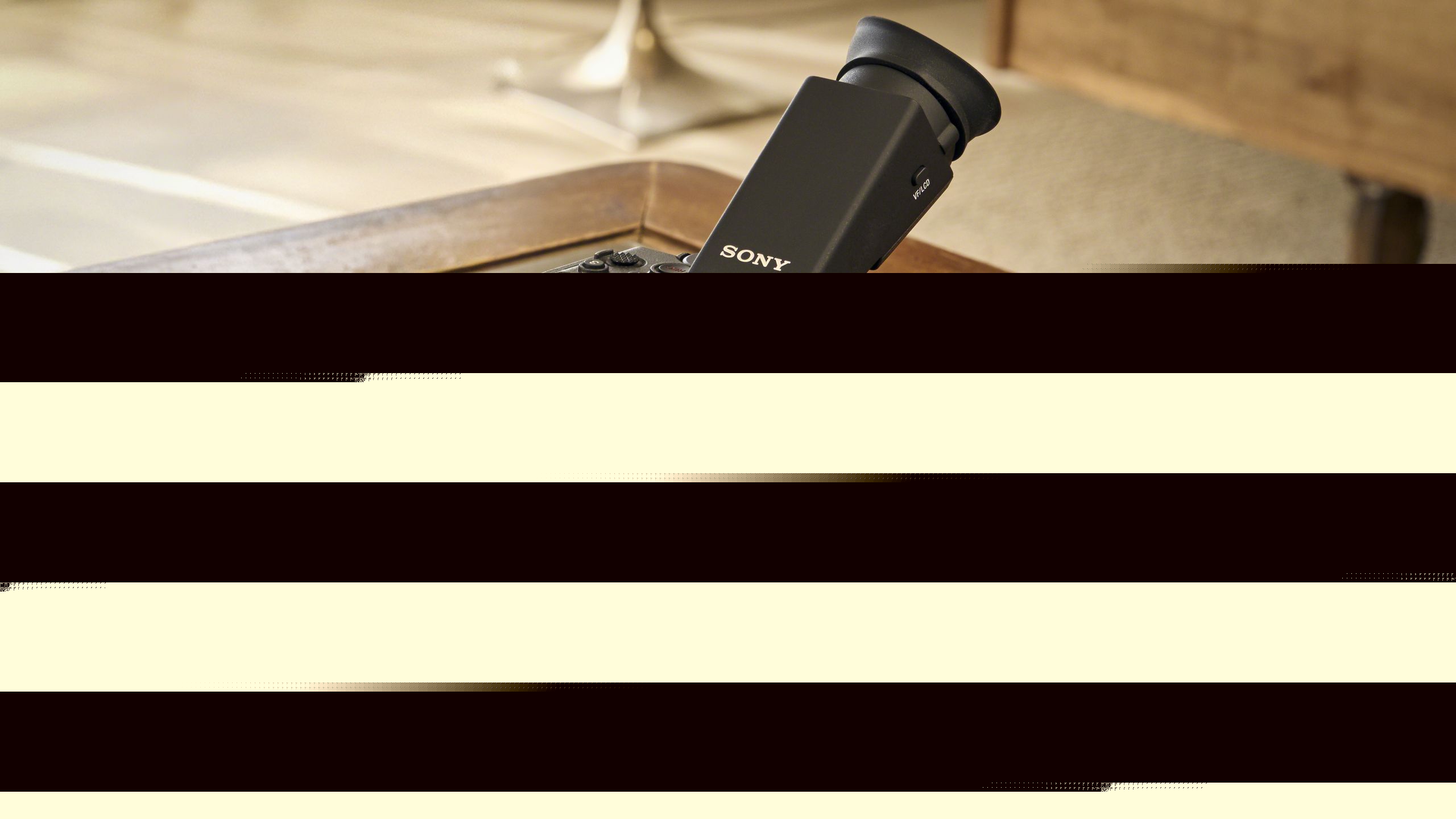 The Sony FX5 is on backorder after just 24 hours,as the "handheld Hollywood" camera is a huge hit