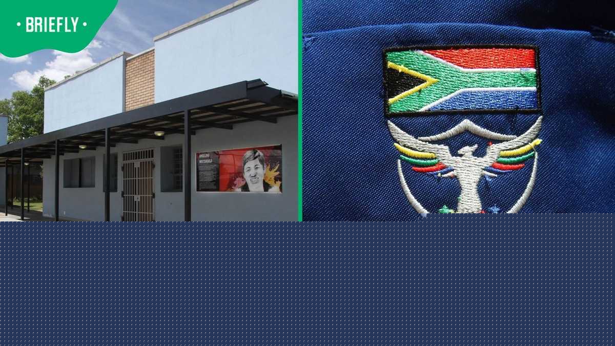 Gauteng MEC Maile orders probe into sexual misconduct at Curtis Nkondo School in Soweto