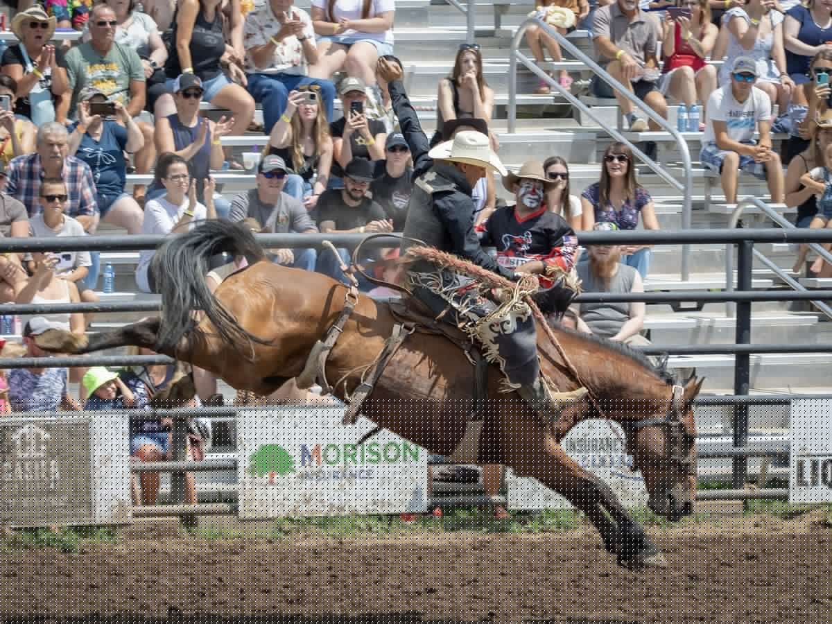 Thousands watch riders on bucking beasts at Norfolk Pro Rodeo