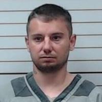 Man to serve 10 years for assaulting mother