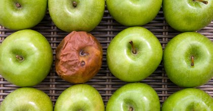 Why your best sites might be earning less because of your worst ones