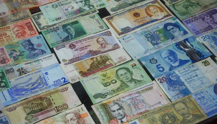 NBP Exchange Rates