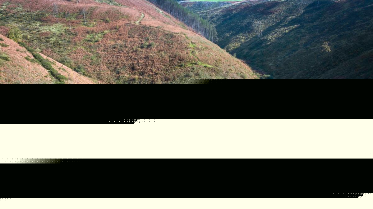 Viral TikTok beauty spot owners warn people not to visit secluded reservoir