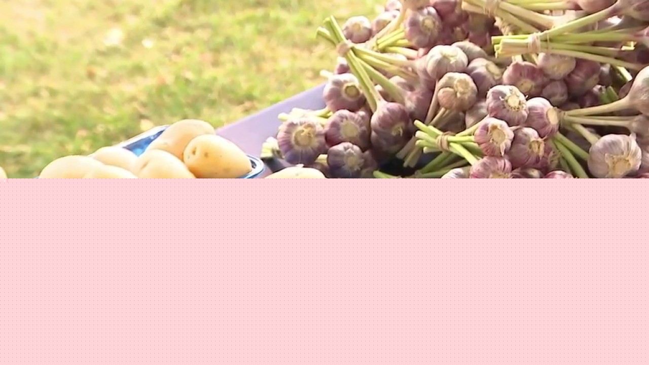 Thiensville Farmers Market: Every Tuesday, now through mid-October.