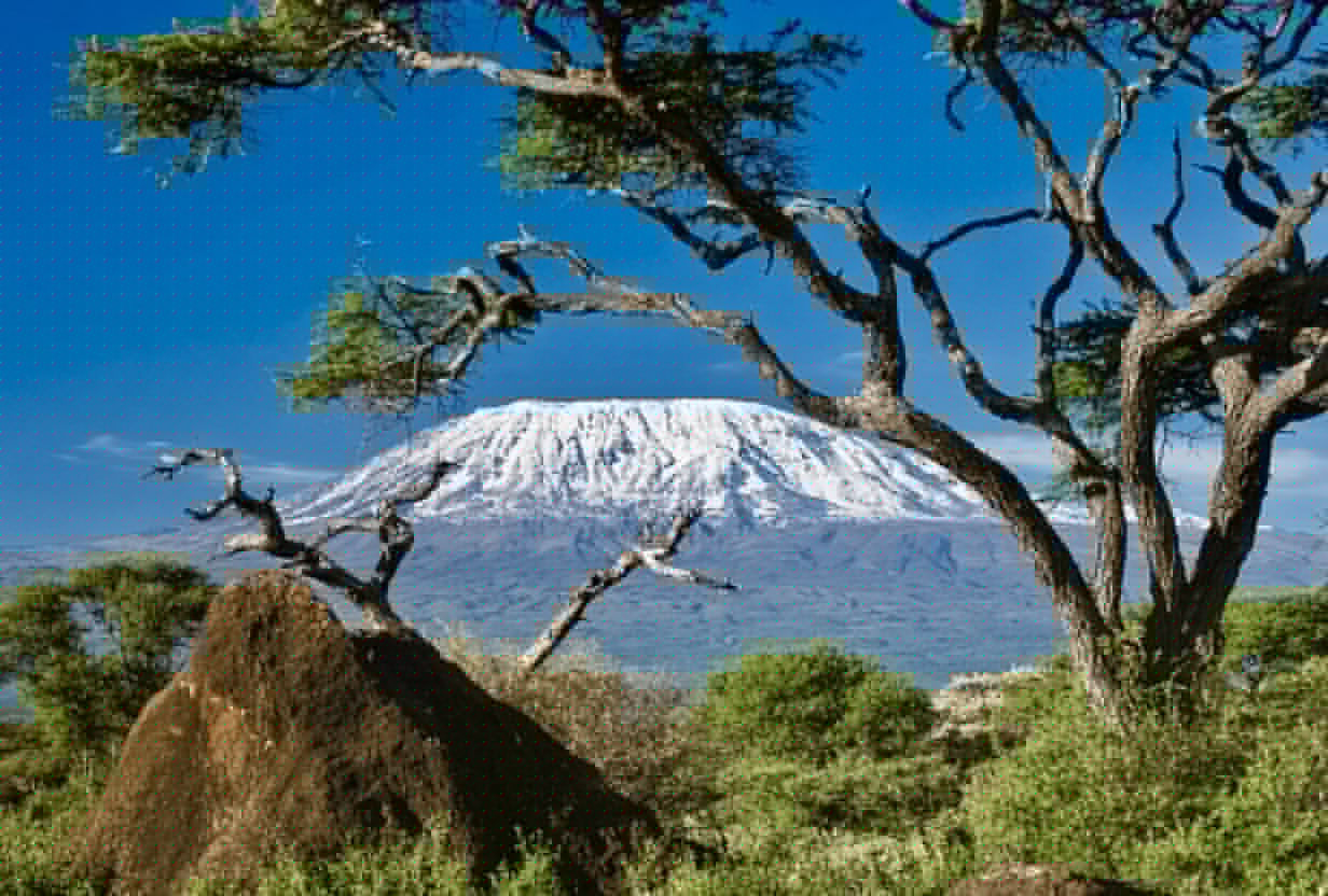 Climb Mount Kilimanjaro with DT Travel