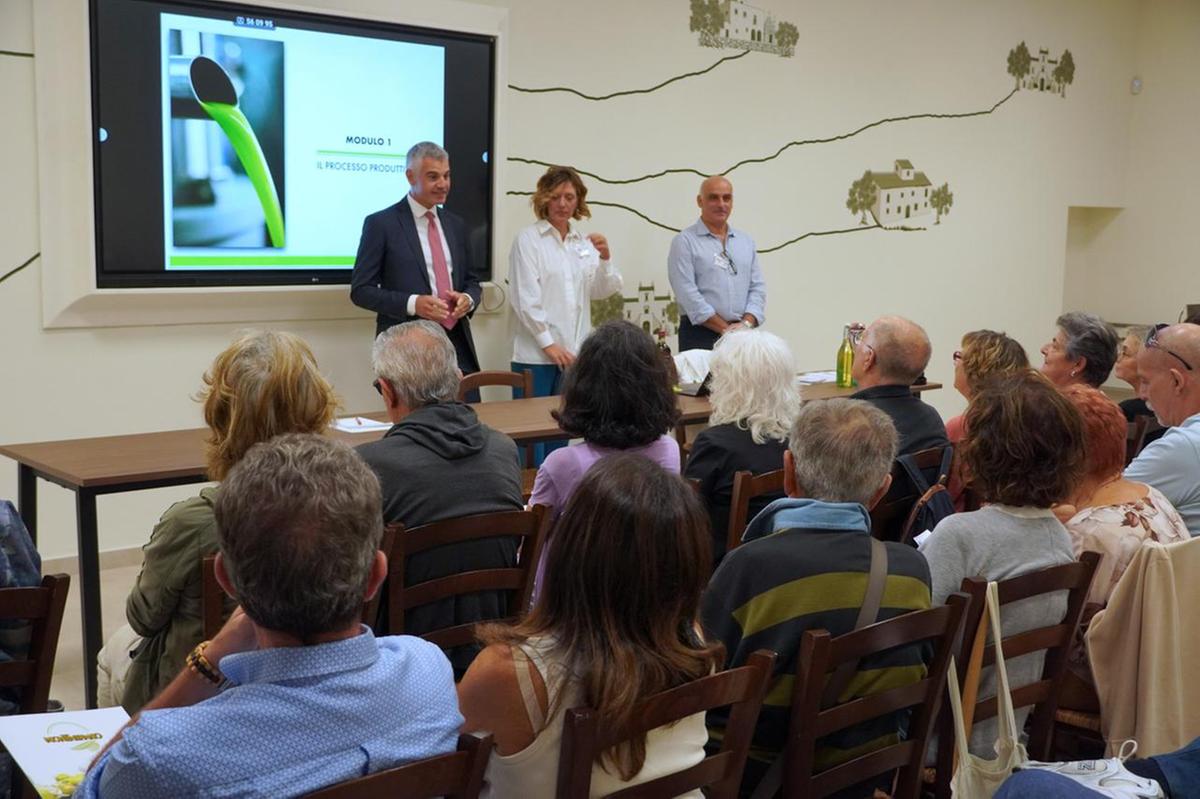 Bilancio in chiaroscuro. Raccolta olive 2025: "L’olio diminuirà ma sarà sempre buono"