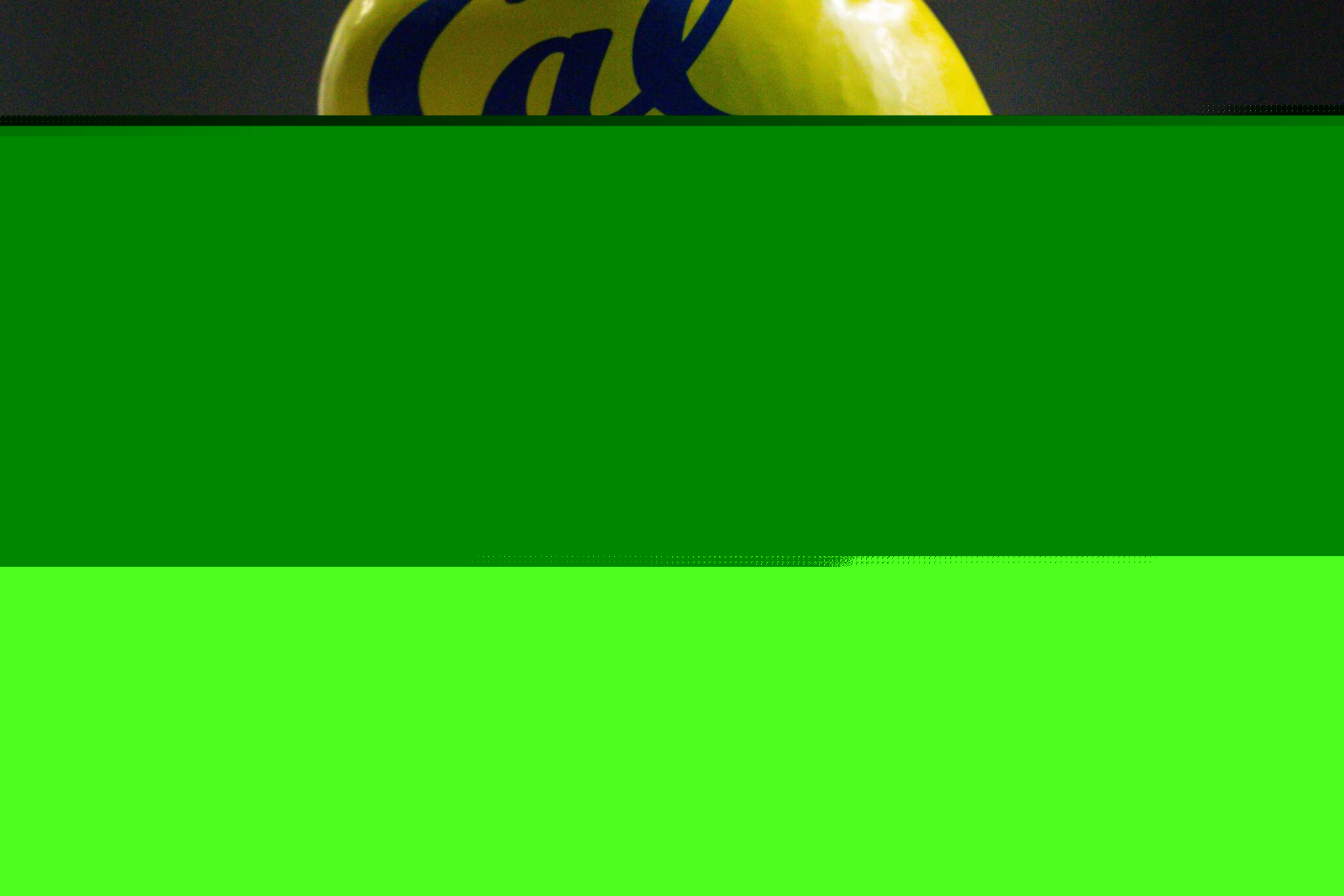 Comment on Cal Women Announce 2025-2026 Schedule, Staying In State For All Dual Meets by Spieker Pool Lap Swimmer