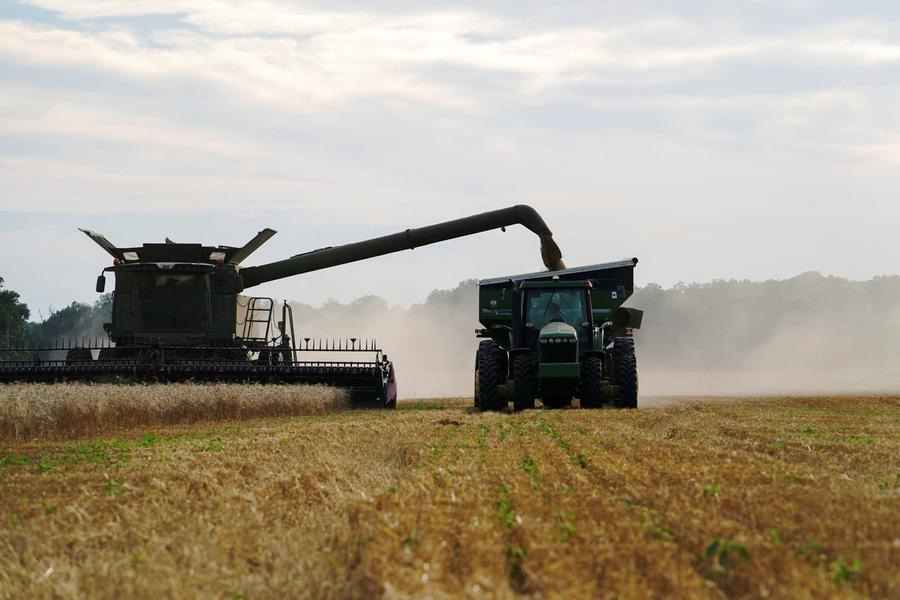 Soybeans pause as market weighs China prospects