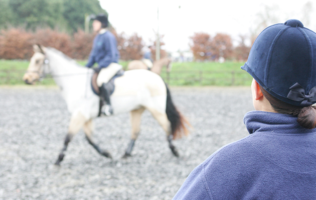 How to choose the ideal riding school for you or your children to start horse riding