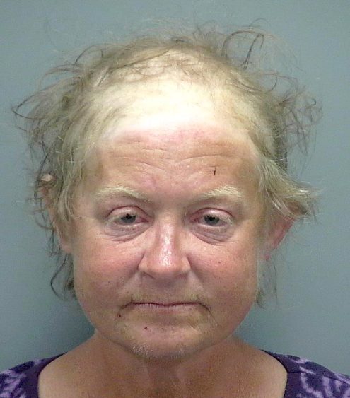 Homeless woman charged in ax attack has preliminary hearing