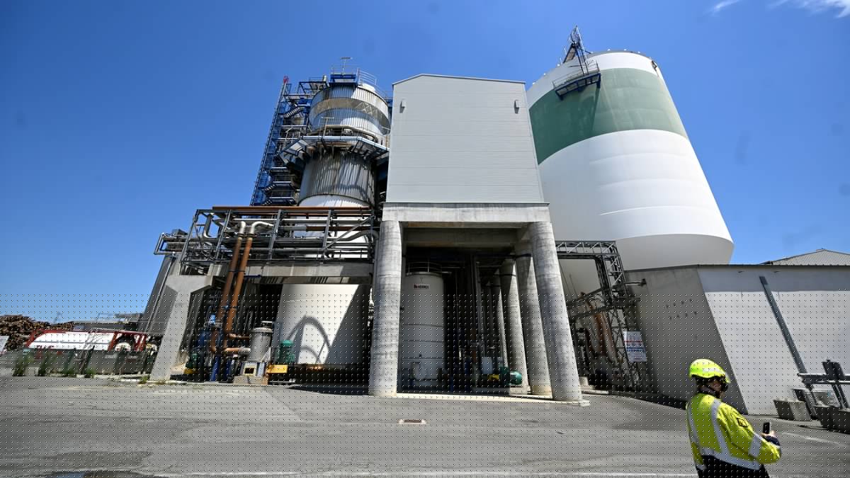 Fibre Excellence : ce que l'on sait du mystérieux industriel candidat à la reprise de Saint-Gaudens, dernier espoir des salariés