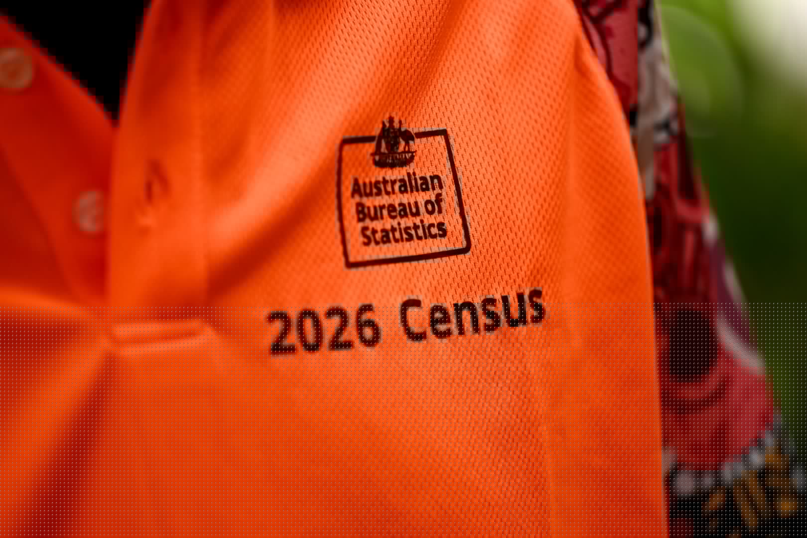 100 per cent of me thinks the Census is too boring
