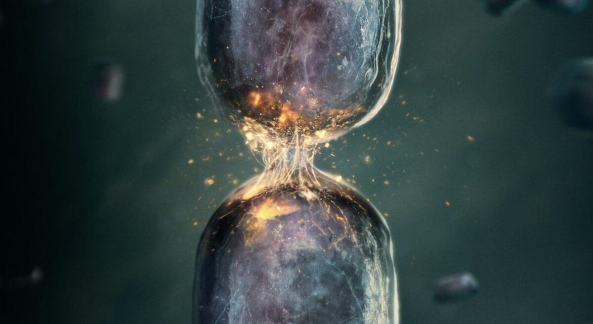 Comment on The Truth is Much Wilder? Awe and Atheism in BBC’s Evolution by Anthony Williamson