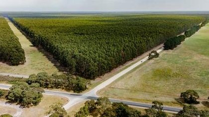 $60m farmland portfolio hits the market in South Australia