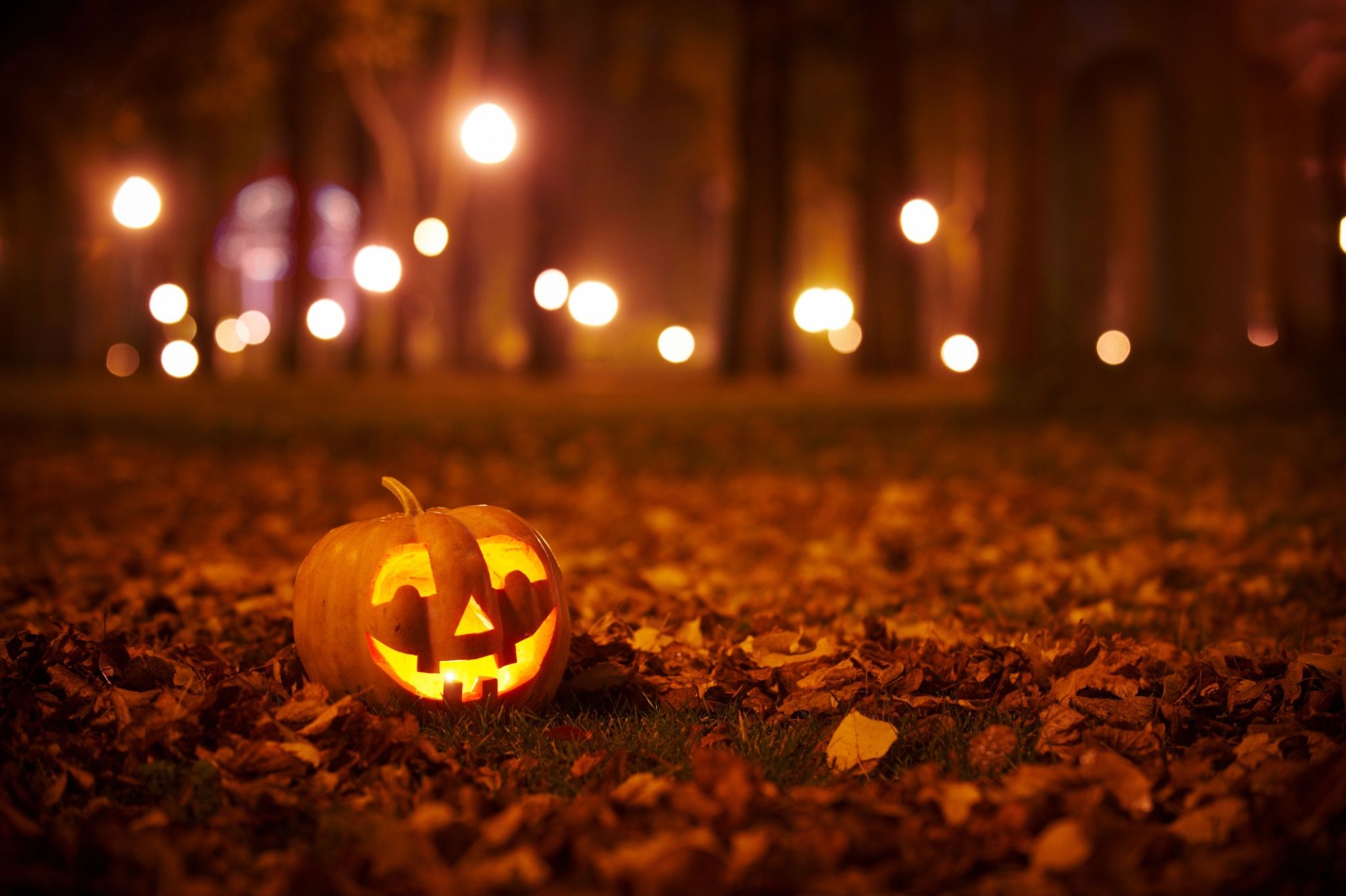 8 best October date ideas in Edmonton for the Halloween season
