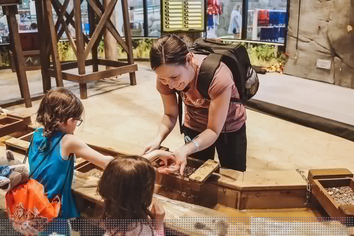 Amarillo Museum Of Art Free Family Day Event