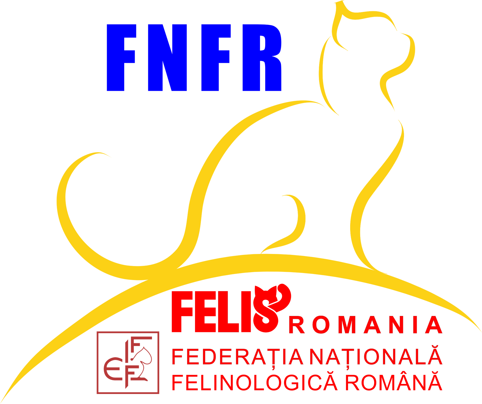 2026 începe cu o nouă confirmare: pisicile născute în România, din nou pe podiumurile mondiale