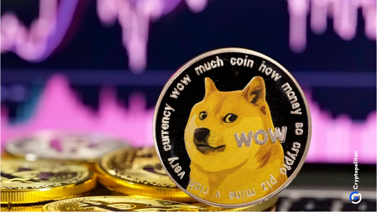 Thumzup injects US$2.5M loan into DogeHash