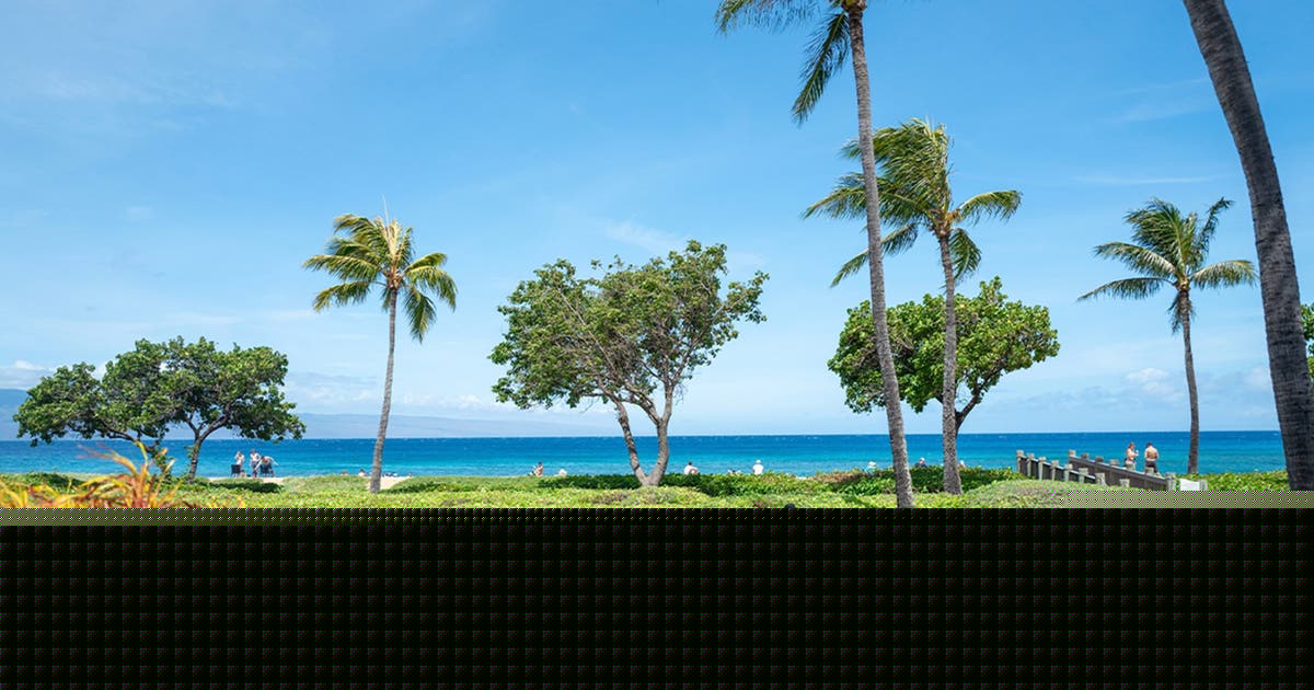 California family members claim they were attacked at luxury Maui resort during violent melee