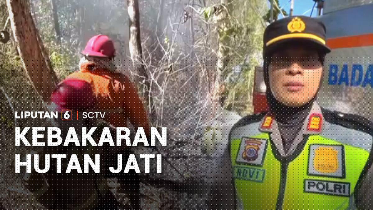 Musim Kemarau, Hutan Jati Terbakar