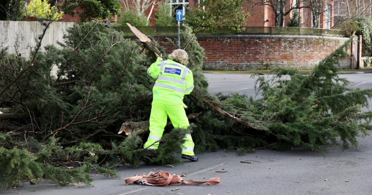 Met Office issues yellow warning as Storm Amy brings 50mph winds to Salisbury