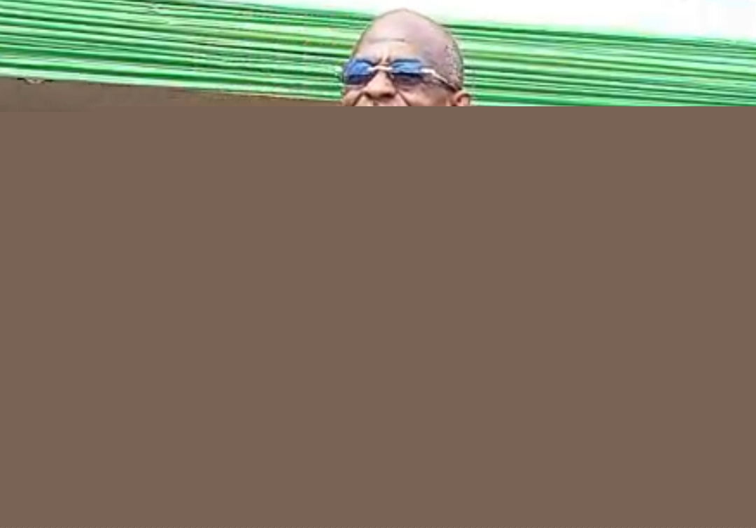 I warned NPP its top-down primaries would create factions – Asiedu Nketia
