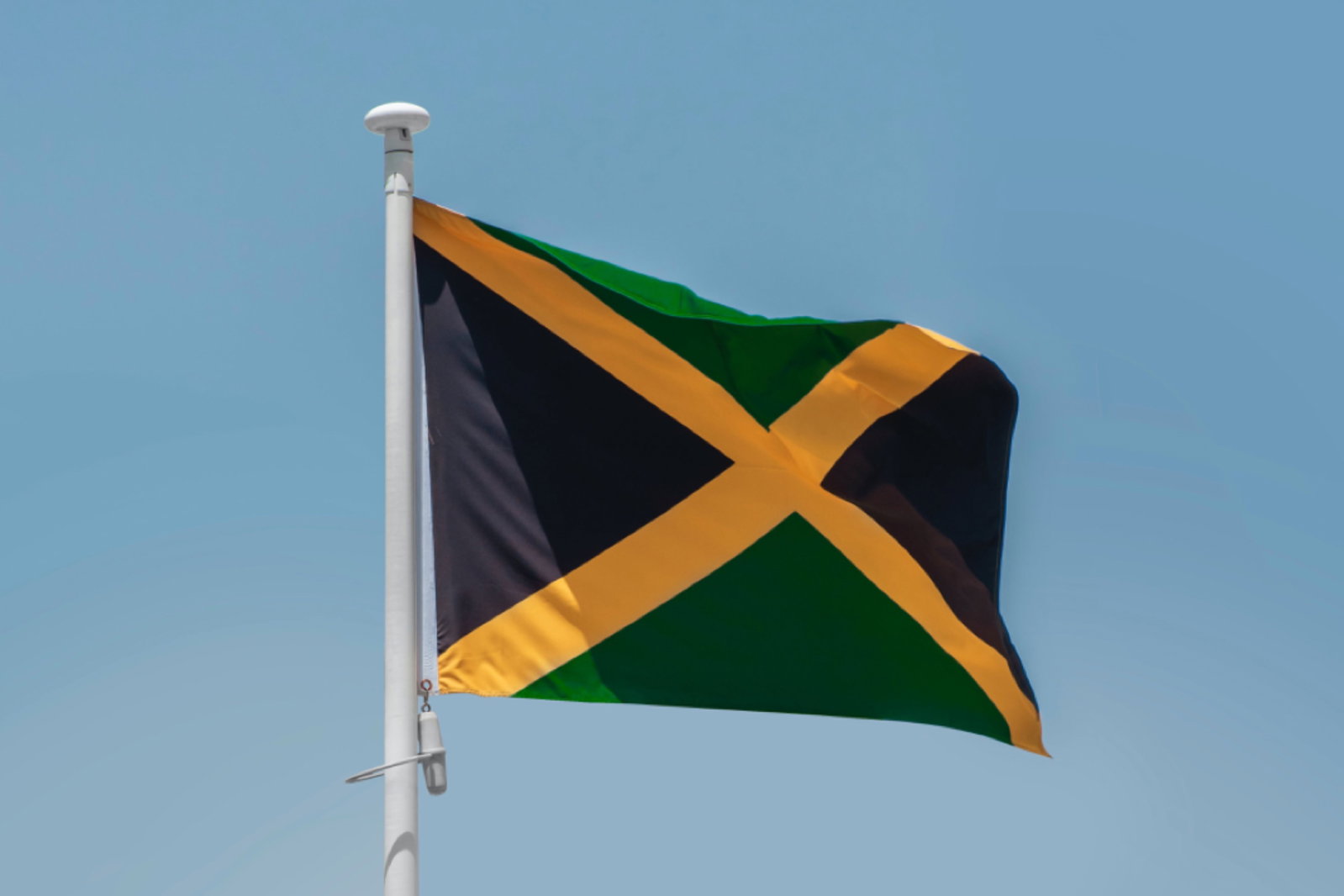 Brooklyn Will Host NYC’s 1st Parade Dedicated To Jamaica