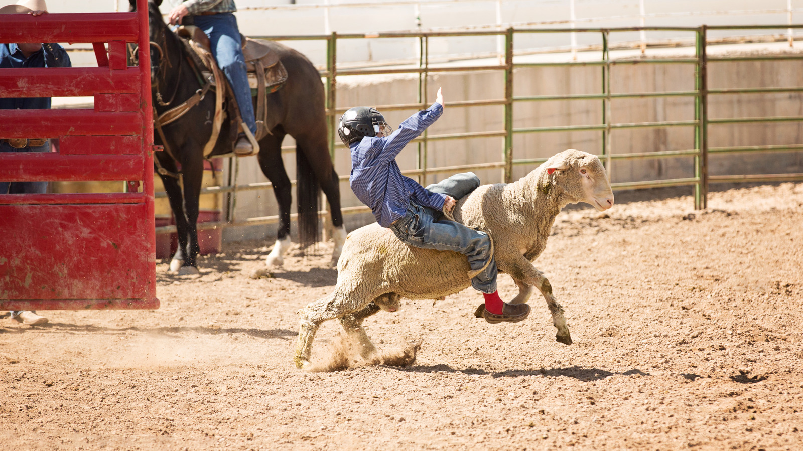 'The Super Bowl Of Cattle Shows' Is A Massive, Annual Cowboy Extravaganza Hosted In Colorado