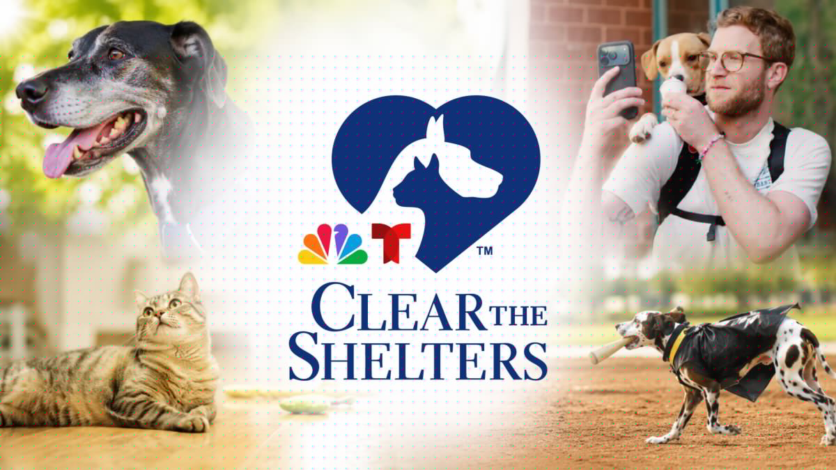 How to watch NBC's star-studded Clear The Shelters TV special