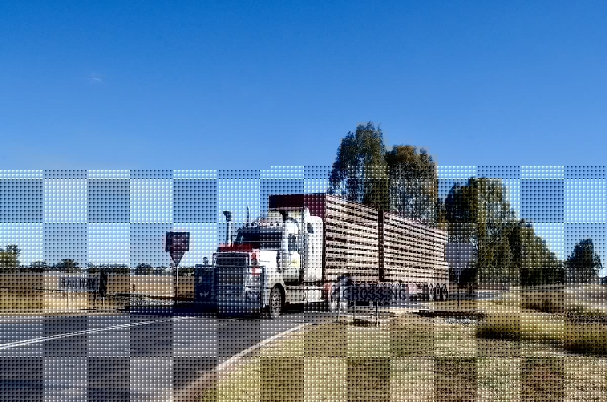 ‘Rising costs and rule changes deliver a double blow for transport operators’