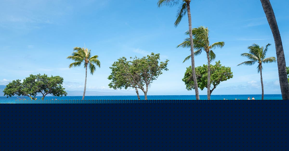 California family members claim they were attacked at luxury Maui resort during violent melee