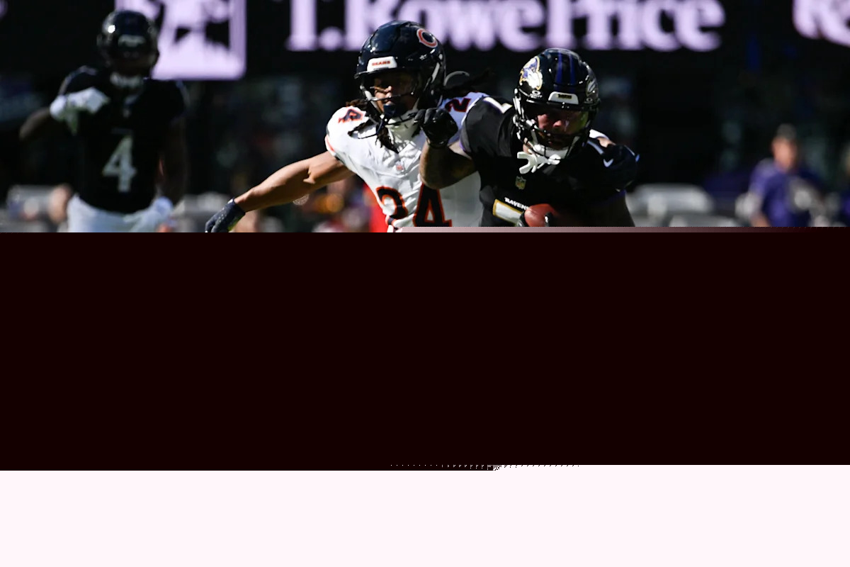 Former Notre Dame safety has been signed by the Miami Dolphins