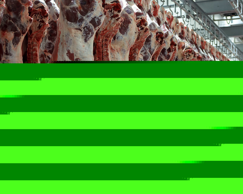 US and Chile agree on 34 new beef cut names for export market