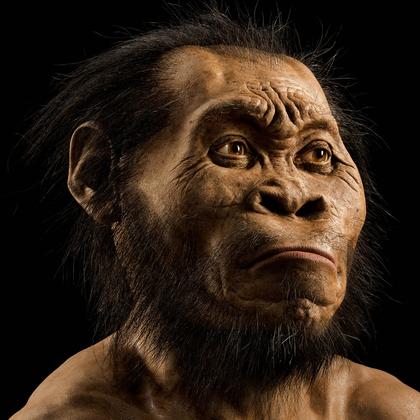 Mystery of ‘Homo Naledi,’ an Ancient Human Species Who Buried Their Dead, Deepens with New Burial Discovery