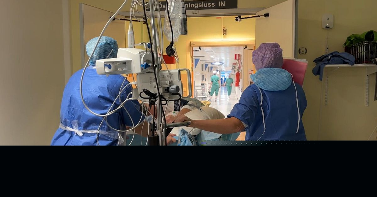 Allt fler överlever stroke – halvering av dödsfallen