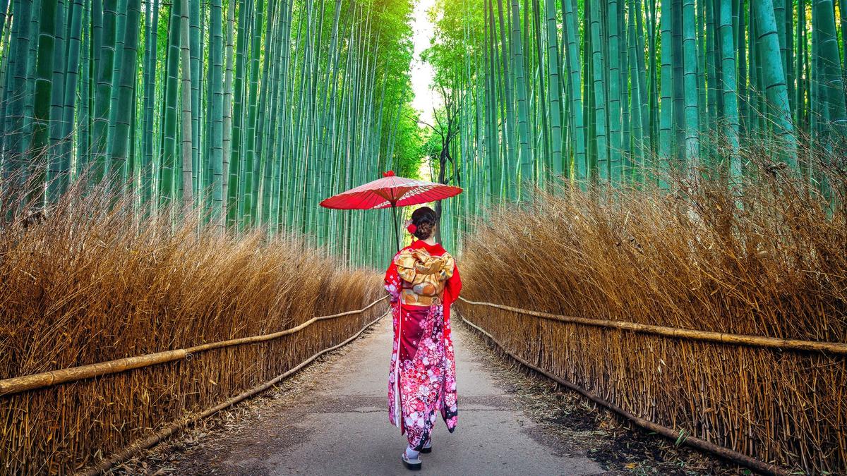 Top 15 Asia Destinations to Visit in 2026 According to TripAdvisor