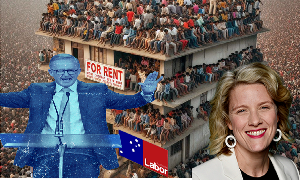 Albanese defends worsening housing shortage