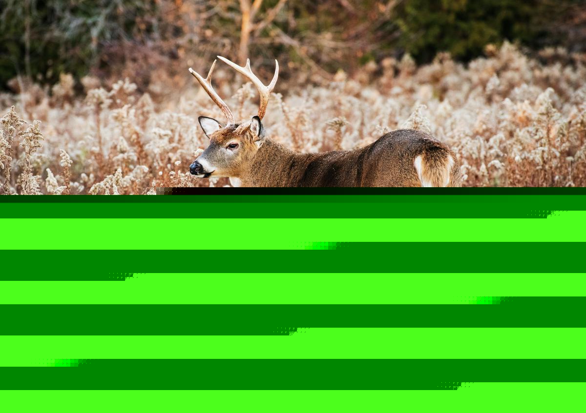 Iowa DNR 2026-2027 Hunting Changes: New Zones and Rules