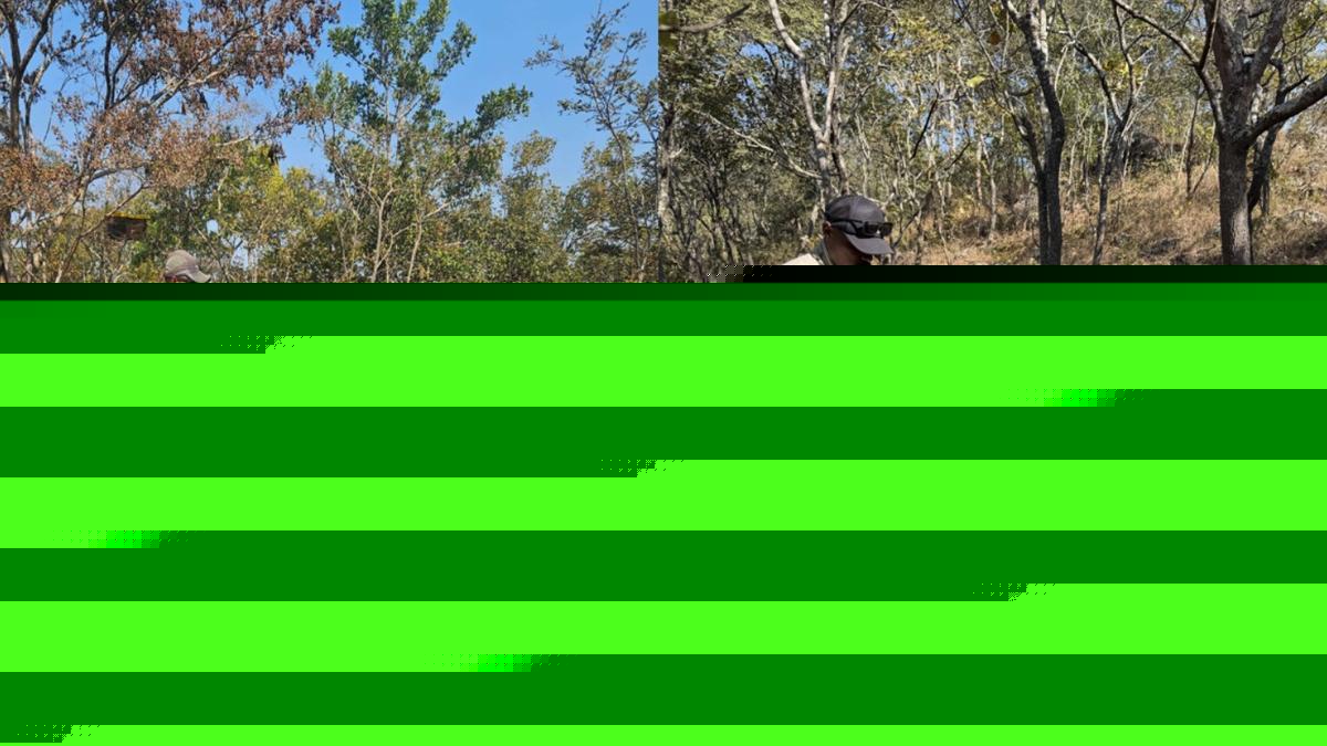 Patriot mapping hints at giant Zambian copper potential