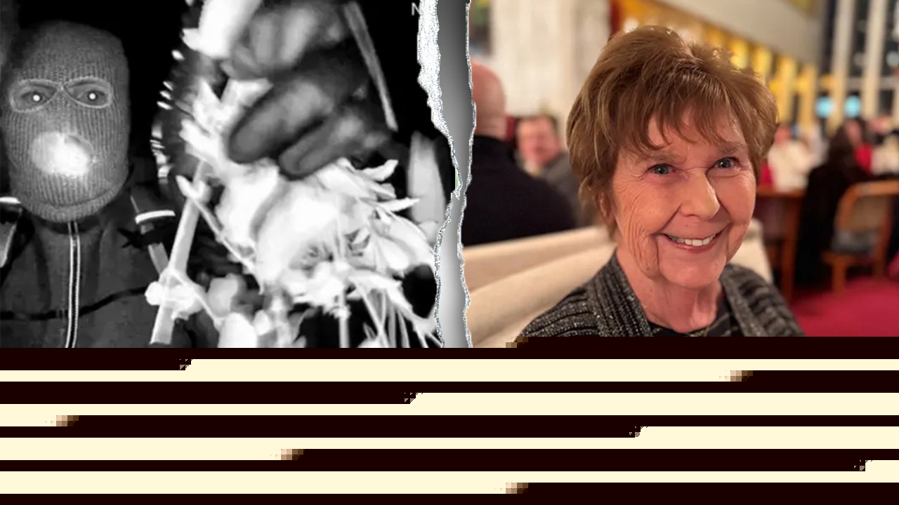 Nancy Guthrie update: DNA couldn't be profiled from crime scene hair sample, sheriff says