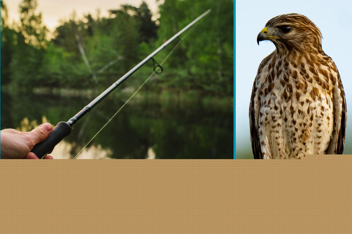 Here's How Cut Fishing Lines Endanger Texas Wildlife