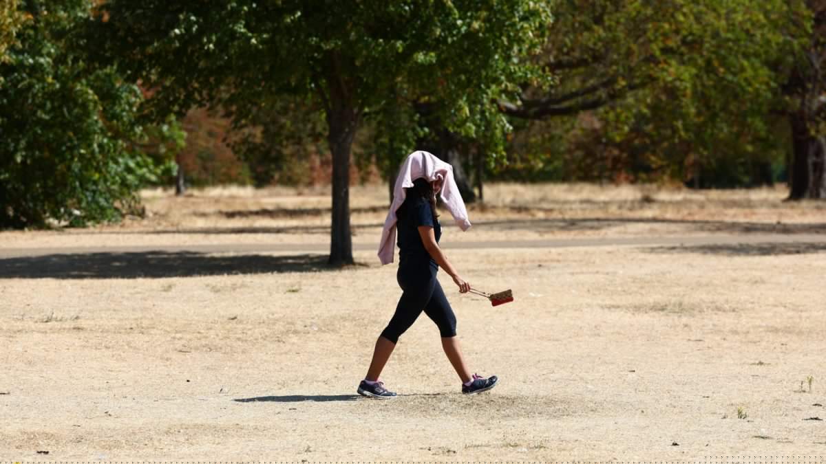 When the next heatwave will start as UK on track for hottest summer on record