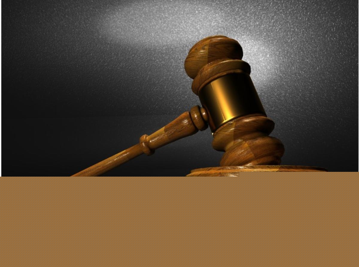 The judiciary and the vanguard of the revolution